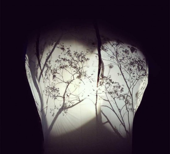 Arbre en Lumière, Genève, fleur d'arbre et ombres chinoises sur toile de soie